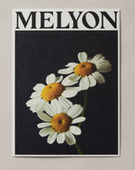 Melyon Gallery Card - Melyon -Melyon